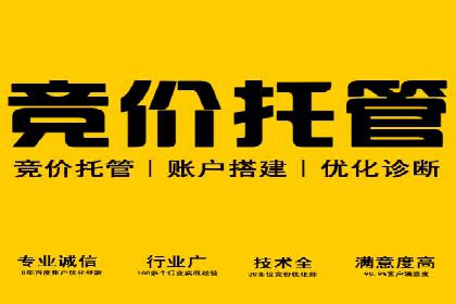 竞价广告案例分析：品牌成功之道